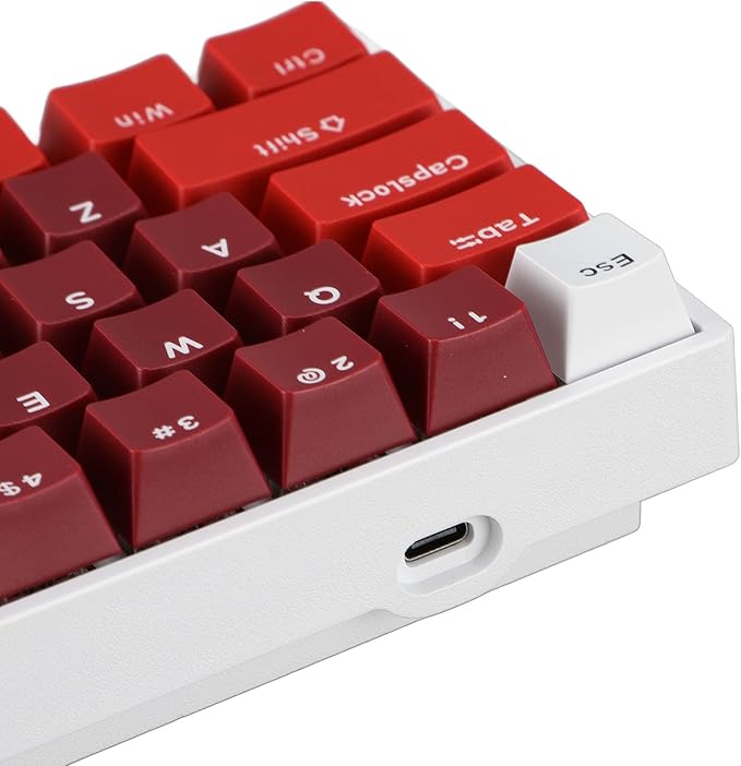 Vikye Mechanical Gaming Keyboard Portable 60% Layout 61 Keys Type C Wired Keyboard with RGB Backlight for Laptop PC Red Switch with Red Switch