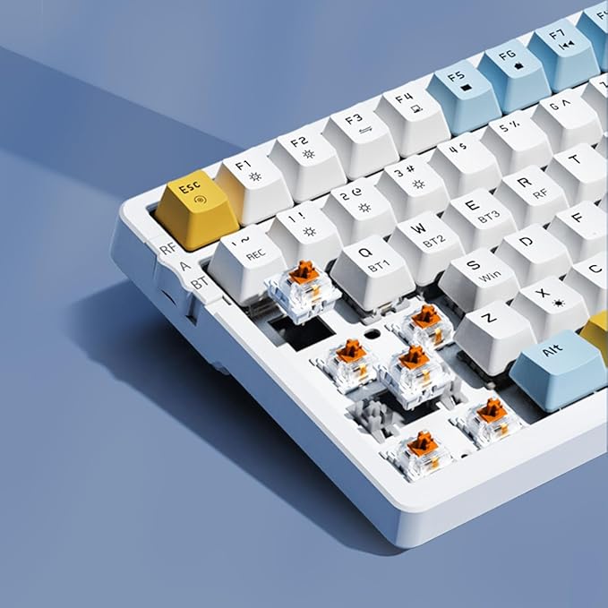 Wireless Mechanical Keyboard Triple Mode 2.4G/USB-C/BT Gaming Keyboards 100 Keys Ice-Blue Backlit Brown Switch Keyboard | Rechargeable Mechanical Gaming Keyboards | Ice Blue/W/Y