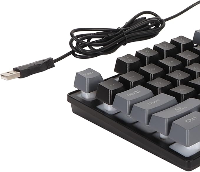 Wired Mechanical Gaming Keyboard 87 Keys Hot Swap Mechanical Keyboard RGB LED Backlit Mechanical USB Keyboard Hot Swappable Custom Keyboard for Laptop PC Games
