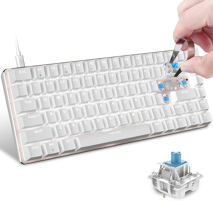 60% Mechanical Gaming KeyboardHot Swappable Compact 82 Keys Wired Mechanical Keyboard with White LED BacklitDetachable Type-C CableErgonomic Designfor Windows PC Gamers(Blue SwitchWhite)
