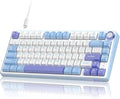 RK ROYAL KLUDGE R75 Mechanical Keyboard Wired with Volume Knob 75% Custom Gaming Keyboard Gasket Mount RGB Backlit with Software Cherry Profile Hot Swappable Silver Switch PBT Keycaps