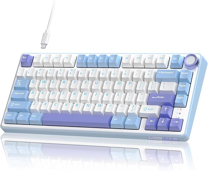 RK ROYAL KLUDGE R75 Mechanical Keyboard Wired with Volume Knob 75% Custom Gaming Keyboard Gasket Mount RGB Backlit with Software Cherry Profile Hot Swappable Silver Switch PBT Keycaps