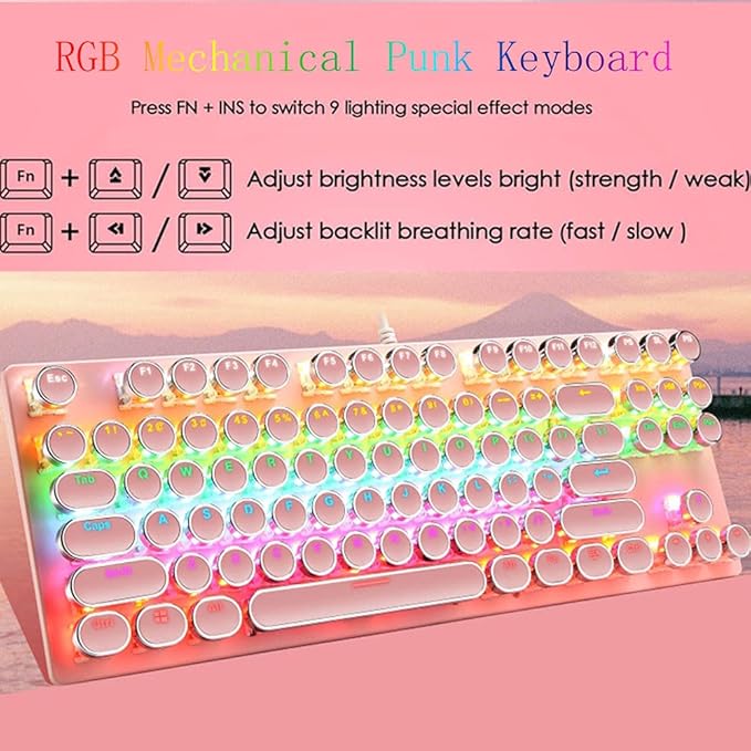 Mechanical Gaming Pink Keyboard87 Key Retro Punk Typewriter-StyleBlue Switch RGB Backlit KeyboardAnti-Ghosting USB Wired for PC Laptop Desktop Computer for Game and Office