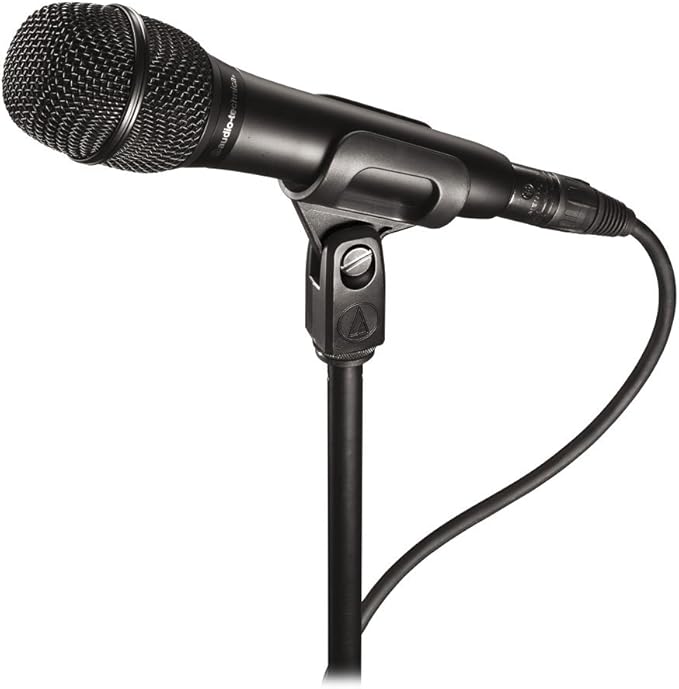 Audio-Technica AT2010 Cardioid Condenser Handheld Microphone Bundle with Pop Filter XLR Cable and Austin Bazaar Polishing Cloth