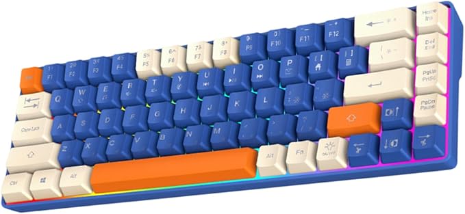 60% Mechanical Gaming Keyboard with Full Key Rollover Wire Keyboard for High Intensity Gaming Quiet Mechanical Keyboard