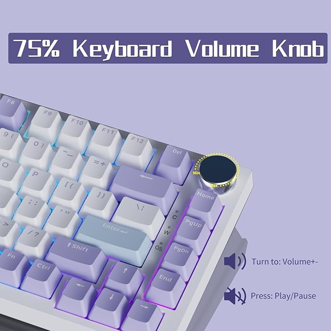 AJAZZ AK820 75% Wired RGB Gasket Mechanical Keyboard with Volume Knob Compact 82 Keys Hot-Swap Keyboard OME Profile PBT Keycap Detachable Type-C Cable (Purple&ampBlue)