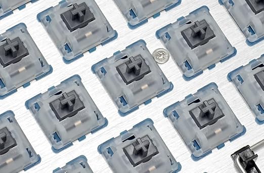 FILCO Cherry MX2A RGB 5 Pin Switch Northern Light AXIS 70 PCS Clear Housing for RGB Keyboard FKSW70CH/MNL-RZ