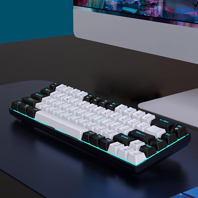 Yoidesu LED Backlit Mechanical Gaming Keyboard 68 Key RGB Mechanical Keyboard with 5.7ft Detachable Cable for OS X Linux System (Black and White)
