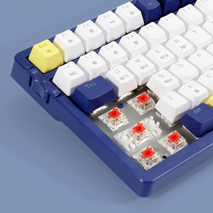 Wireless Mechanical Keyboard Triple Mode 2.4G/USB-C/BT Gaming Keyboards 100 Keys Ice-Blue Backlit Red Switch Keyboard | Rechargeable Mechanical Gaming Keyboards | Blue/White/Yellow