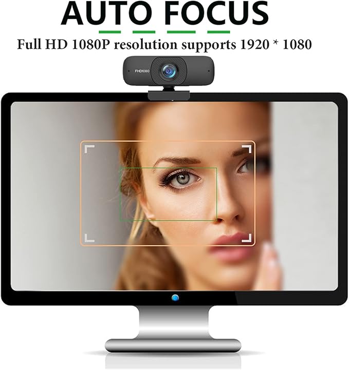 USB Autofocus Webcam 1080P HD Web Camera with Microphone for Computer PC Camera Web Cam for Streaming for Business Meetings (Color : Type 2)