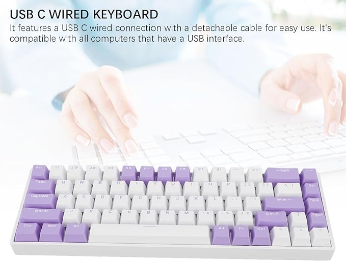 Yoidesu Mechanical Keyboard USB C Wired Gaming Keyboard Blueberry Theme Keycap RGB Backlit 68 Keys Blue Switch Computer Keyboard for Wins 2000 ME for Vista