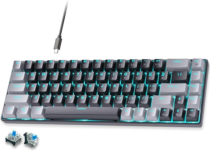abucow 65% Mechanical Gaming KeyboardBlue Switch Wired Compact Keyboard with Blue Backlight Swappable Gray Black Keycaps for Windows/Mac