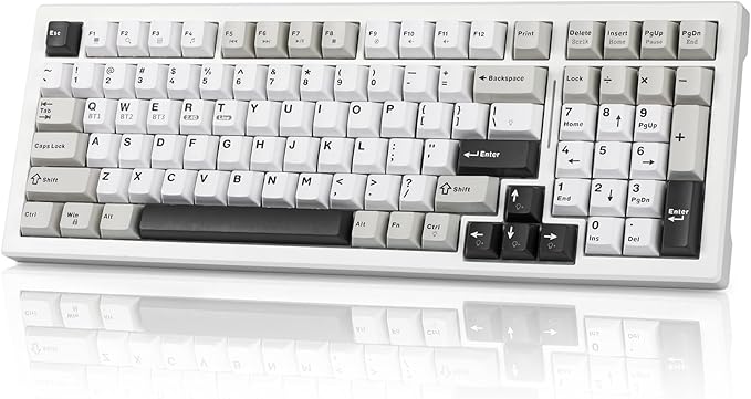 Wireless Game Mechanical Keyboard BT5.0/2.4GHz/USB Multi-Color LED with 18+ Modes Hot-Swappable Custom Keyboard Red Creamy Switches Gaming Keyboard for PC/Mac (Black White)