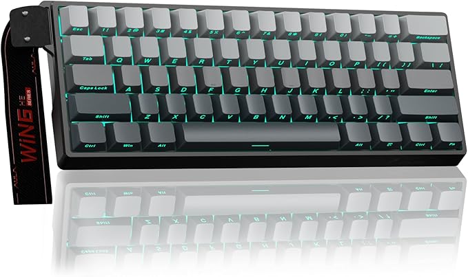 Aula WIN60 HE - 60% Mechanical Gaming Keyboard Wired Hall Effect Magnetic Switch Hot Swappable8000 Hz Polling Rate RGB Keyboard 60 Percent Compact Design for PC (Gradient Gray)