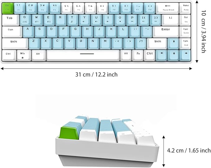 Qisan Mechanical Gaming Keyboard Dual Mode 2.4G/BT Wireless Keyboard with Blue Switch Mini Design (60% Keyboard) 68 Keys Computer Keyboard US Layout | Gaming Pc | Wireless Gaming Keyboard