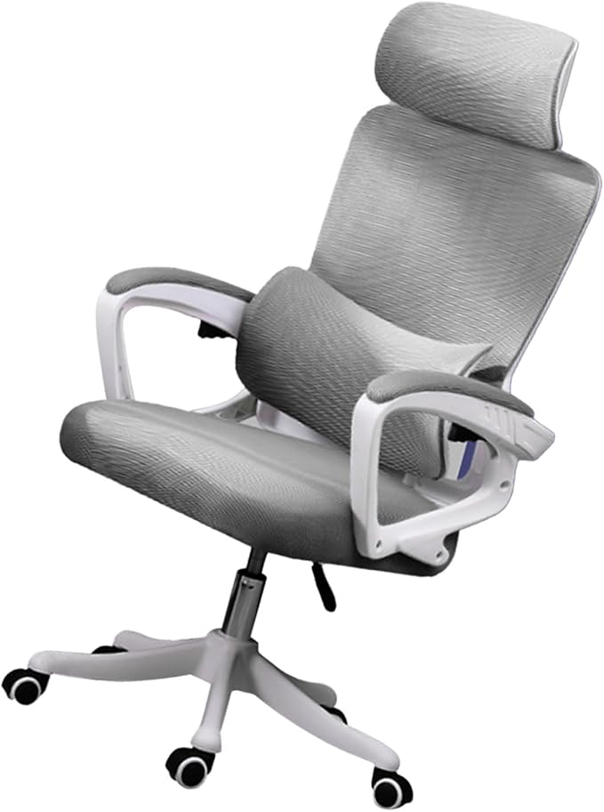 Ergonomic Lumbar Support Office Computer Game Chair Multifunctional Lifting Chair for Home Learning (Grey)