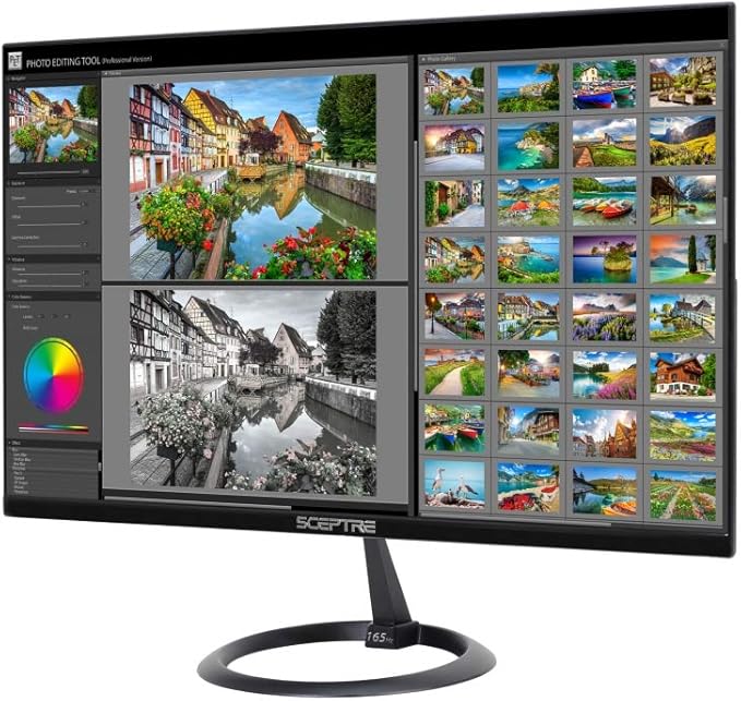 Sceptre 25 165Hz 144Hz 1ms Pro Slim LED Monitor AMD Freesync 2X HDMI 1X DisplayPort Build-In Speakers Metal Black 2019 (E258B-1658A)