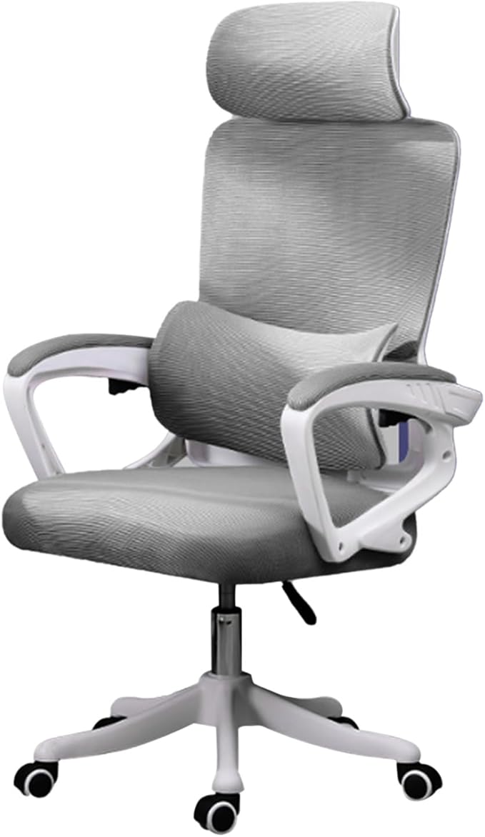 Ergonomic Lumbar Support Office Computer Game Chair Multifunctional Lifting Chair for Home Learning (Grey)