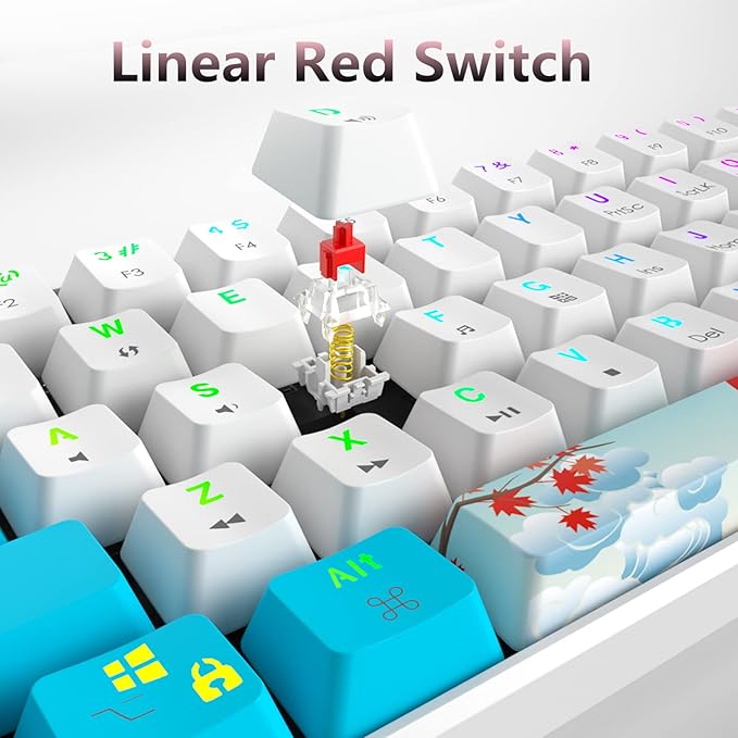 60 Percent Keyboard Mechanical RGB Backlit Wired 60% Gaming Keyboard Blue with PBT Keycaps for Windows PC Gamers (Sea/Red Switch)