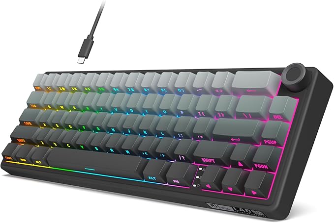 RK ROYAL KLUDGE R65 Wired Gaming Keyboard with Volume Knob 60% Percent RGB Backlit Mechanical Keyboard Side Printed PBT Keycaps QMK/VIA 66 Keys Hot Swappable Beige Switch Gradient Black