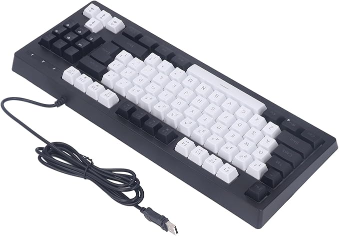 Vikye Compact 87 Keys Mechanical Keyboard with RGB Backlight Double Color for Gaming and Office (Black and White)
