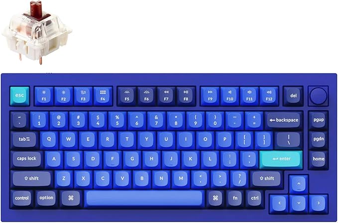 Keychron Q1 RGB Wired Custom Mechanical Keyboard 75% Layout RGB Backlight with Hot-swappable Gateron G Pro Brown Switch Double Gasket Compatible with Mac Windows Linux (Blue) -Version 2