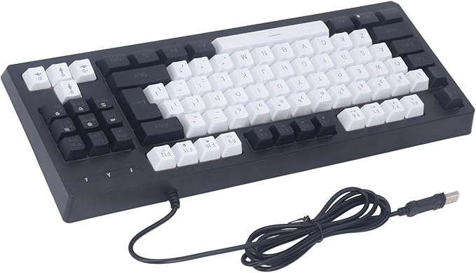 Vikye Compact 87 Keys Mechanical Keyboard with RGB Backlight Double Color for Gaming and Office (Black and White)
