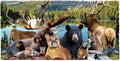 Rocky Mountain National Park Animals Moose Cougar Bear Beaver Elk Large Gaming Mouse Pad Desk Mat with Stitched Edges Non-Slip Base