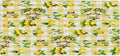 Yellow Lemon Tree Gnome Large Mouse Pad Gaming Mousepad Desk Mat for Desktop Computer Keyboard Waterproof Mouse Mat Desk Pad with Non-Slip Base for Game School Office Home 35.4 x 15.7