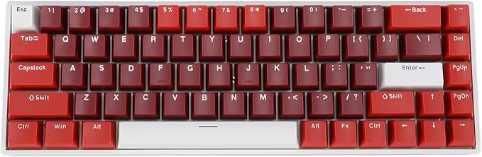 FILFEEL 68 Keys RGB Backlit Gaming Mechanical Keyboard Portable Wired Keyboard with Red Switch Type C Mechanical Keyboard with Harmonious Support for 2000 ME Vista 7 8 10 for