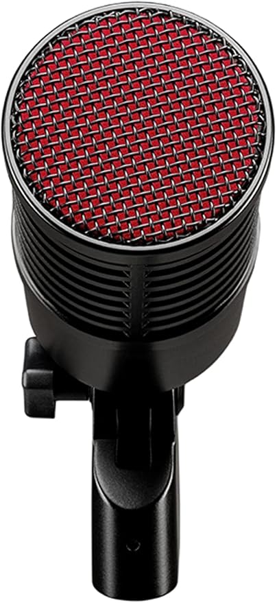 Briskdrop sE Electronics Dynacaster Dynamic Broadcast Microphone - Bundle with 2 Pig Hog XLR Cables
