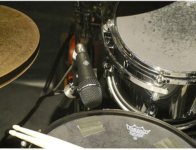 TELEFUNKEN M80-SH Supercardioid Dynamic Instrument Microphone (Renewed)