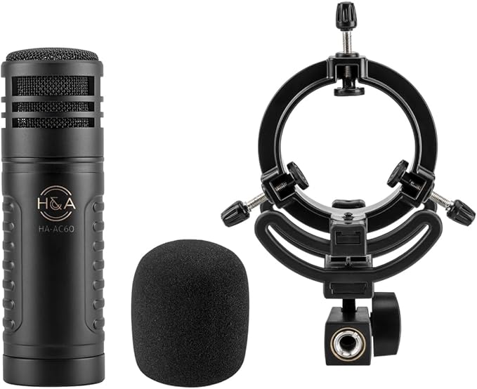 H&ampA AC60 Hypercardioid Dynamic Studio Microphone XLR 20-2000Hz Shock Mount Windscreen Zippered Bag