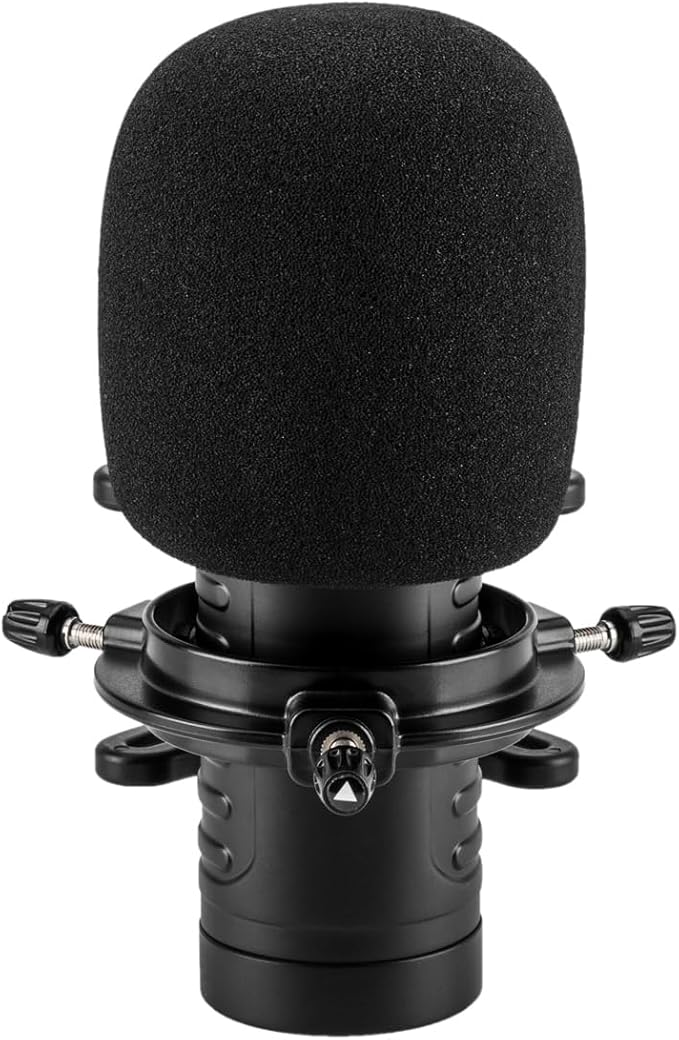 H&ampA AC60 Hypercardioid Dynamic Studio Microphone XLR 20-2000Hz Shock Mount Windscreen Zippered Bag