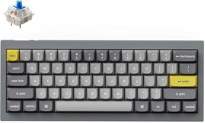 Keychron Q4 Wired Custom Mechanical Keyboard 60% Layout QMK/VIA Programmable Macro with Hot-swappable Gateron G Pro Blue Switch Double Gasket Compatible with Mac Windows Linux (Gray)