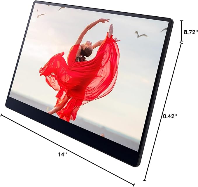 Ricoh 150BW Portable 15.6 Vivid OLED 350nit Lightweight Display Monitor and Touchscreen w/Dual Speakers Wireless with Multicasting Battery Powered - for Laptop Desktop Mac PC