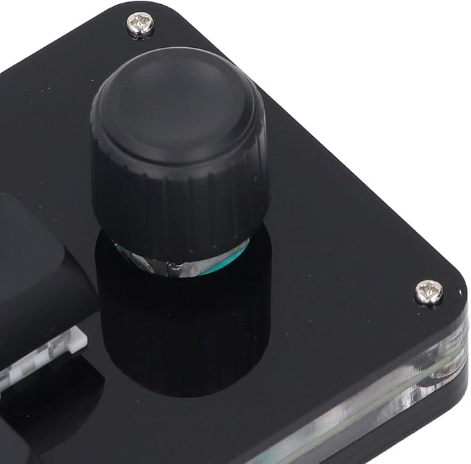 Mini Mechanical Gaming Keyboard USB C 4 Key 1 Knob Keyboard Blue Switch RGB LED Plug and Play for OSU Vista OS X