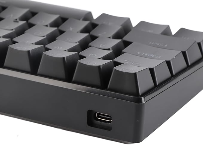 Brrnoo Compact 61 Key RGB Wired Mechanical Keyboard Professional Blue Switches Double Color Injection Portable Gaming Keyboard with Anti Ghosting Design