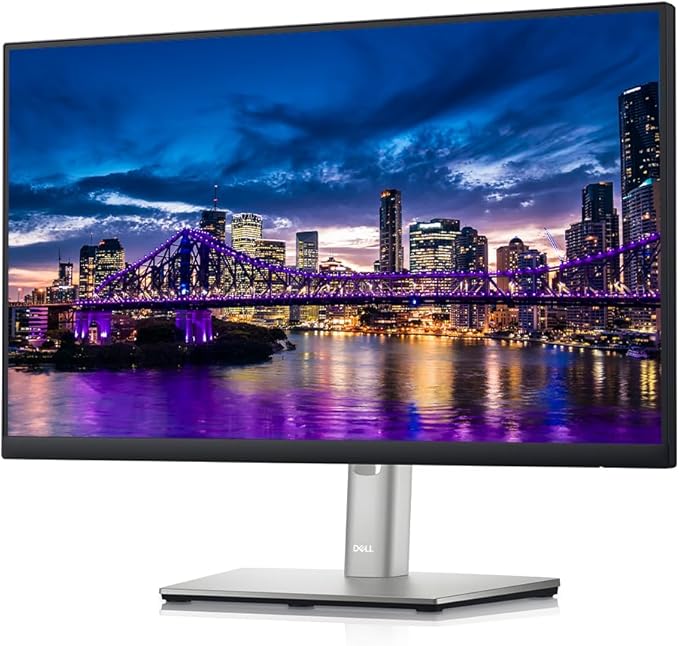 Dell P2422H 24-inch 1080P Full HD Wide Angle Backlit LED LCD Monitor 2-Pack Low Blue Light Ultrathin Bezel IPS VGA HDMI DisplayPort and USB Hub (Renewed)