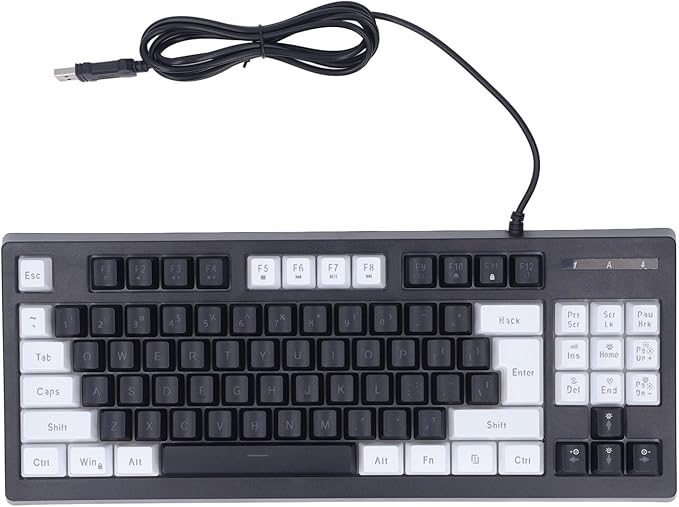 Vikye Compact 87 Keys Mechanical Keyboard with RGB Backlight Double Color for Gaming and Office (White Black)