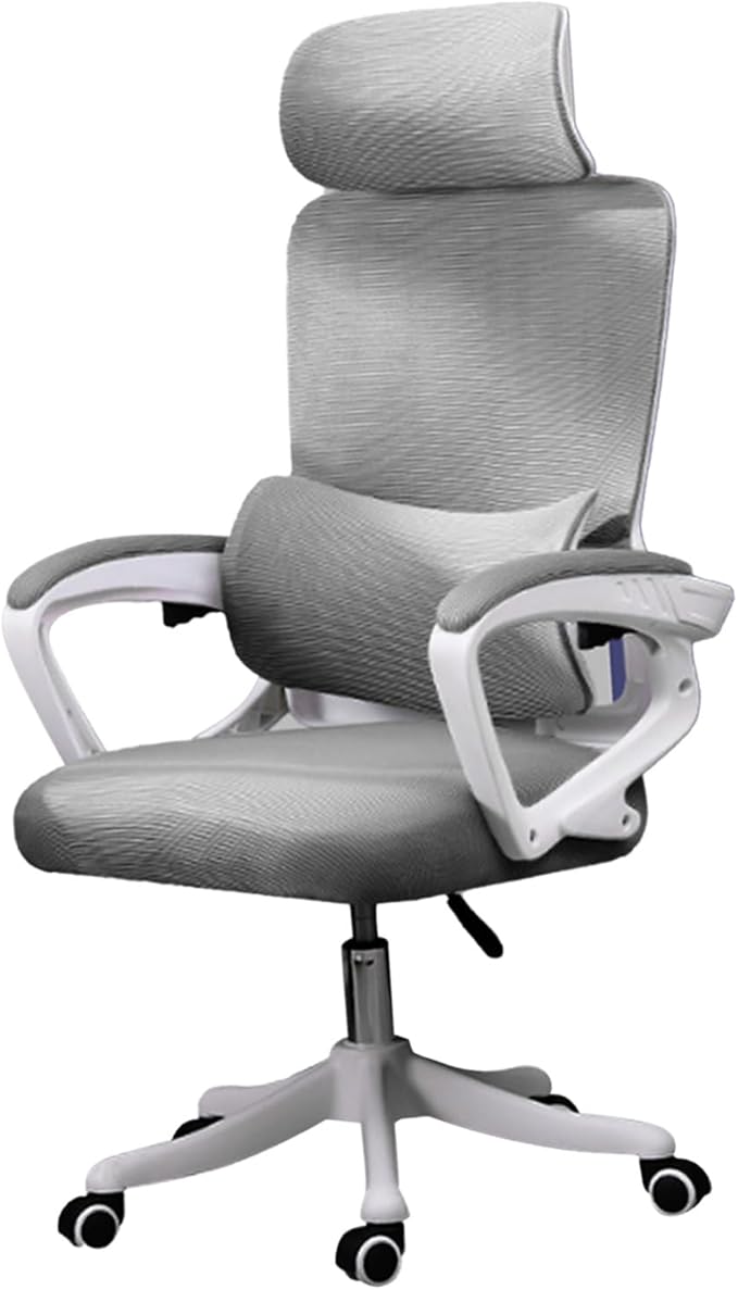 Ergonomic Lumbar Support Office Computer Game Chair Multifunctional Lifting Chair for Home Learning (Grey)