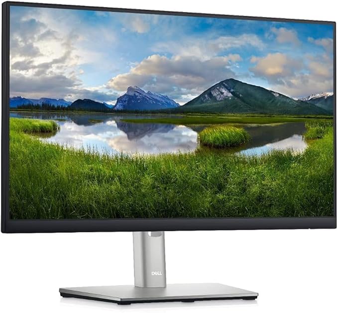 MNTR DELL P2222H 22 IPS R
