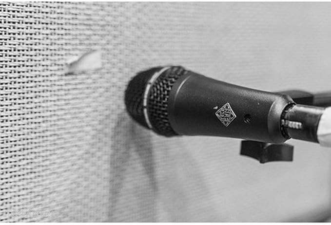 TELEFUNKEN M80-SH Supercardioid Dynamic Instrument Microphone (Renewed)