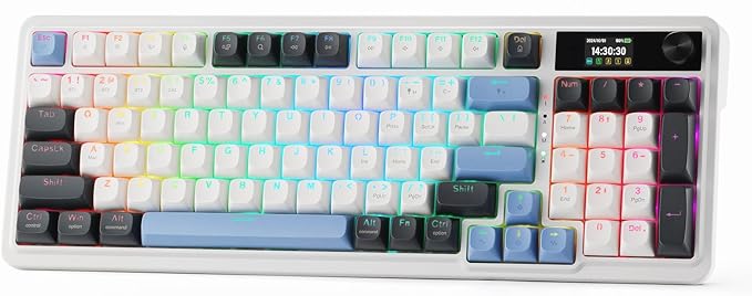 Redragon K719 Wireless Gasket Gaming Keyboard w/Hype Screen &amp Knob 95 Keys Mechanical Keyboard Easy-Control 1.14’’ TFT Info Display 5-Layer Noise Dampener Round PBT Keycaps Mint Mambo Switch