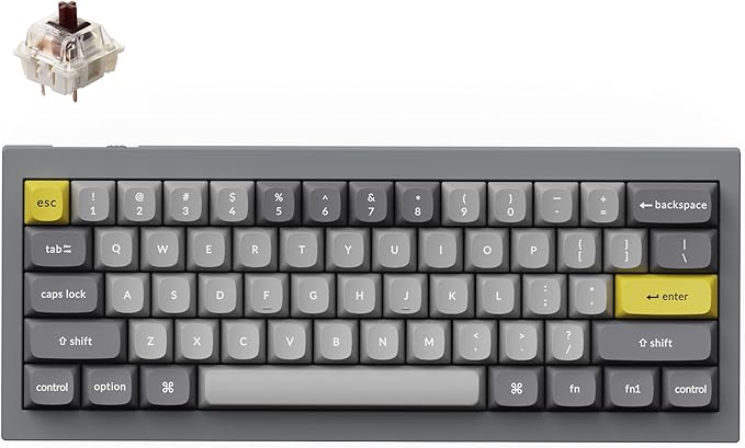 Keychron Q4 Wired Custom Mechanical Keyboard 60% Layout QMK/VIA Programmable Macro with Hot-swappable Gateron G Pro Brown Switch Double Gasket Compatible with Mac Windows Linux (Gray)