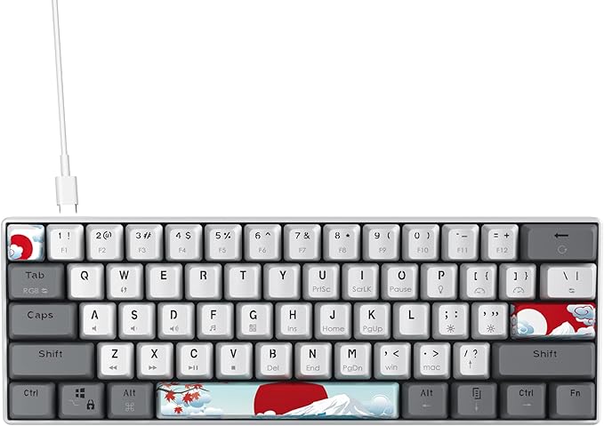 Owpkeenthy RGB Mechanical Keyboard 60 Percent Red Switches Ultra-Compact Mini Wired Gaming Keybaord with Backlit PBT Dye-Sub Keycaps for Win/Mac/PC (White/Red Switch)