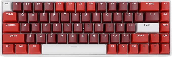 Vikye Mechanical Gaming Keyboard Portable 60% 68 Keys Type C Wired Keyboard with RGB Backlight for Laptop PC Red Switch with USB Port