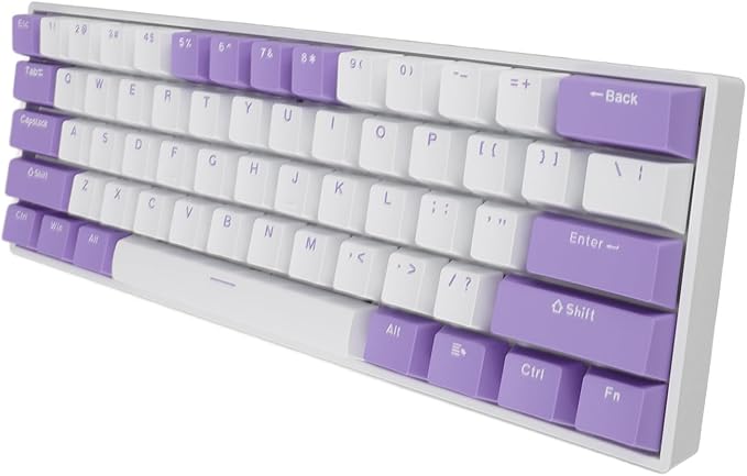 Vikye Mechanical Gaming Keyboard Portable 60% 61 Keys Type C Wired Keyboard with RGB Backlight for Laptop PC Red Switch with Blue Switch