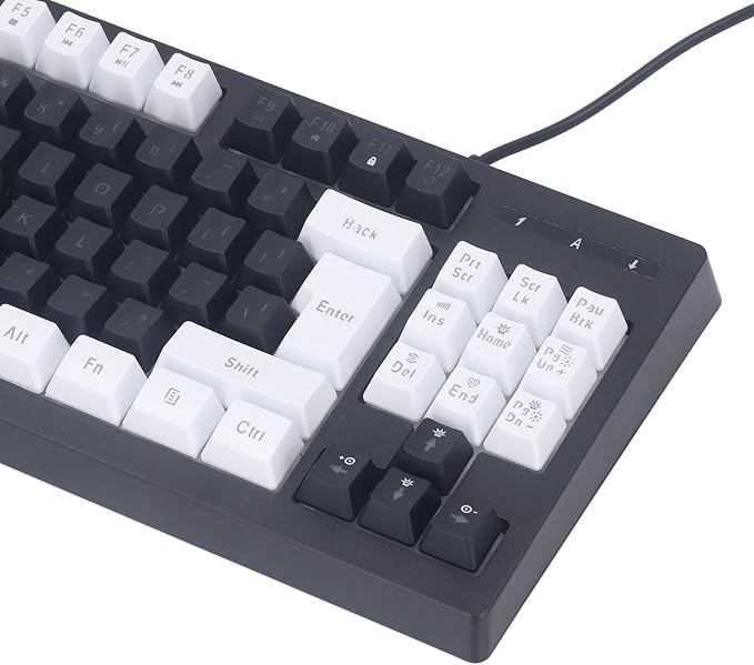 Vikye Compact 87 Keys Mechanical Keyboard with RGB Backlight Double Color for Gaming and Office (White Black)