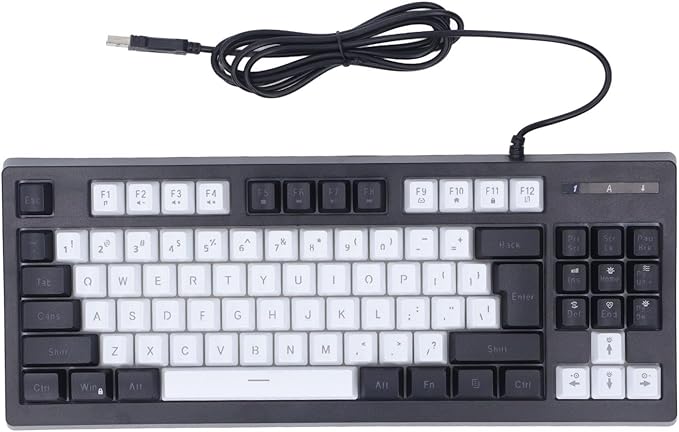 Vikye Compact 87 Keys Mechanical Keyboard with RGB Backlight Double Color for Gaming and Office (Black and White)